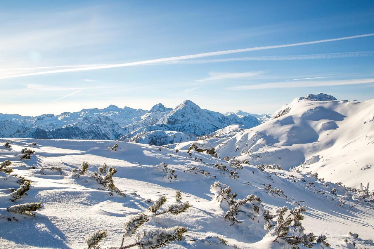 Natursinn Mountainchalets Flachau Zewnętrze zdjęcie