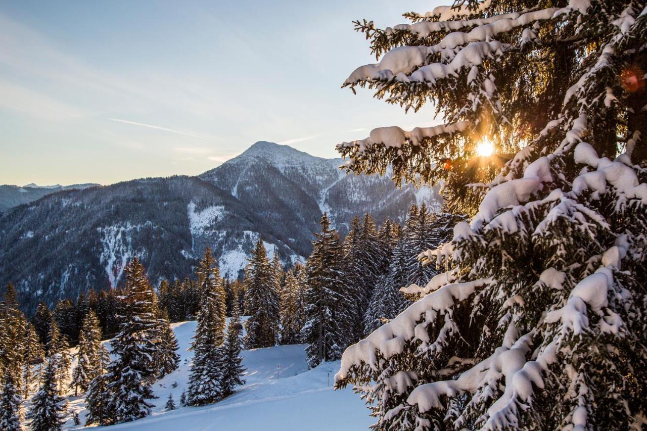 Natursinn Mountainchalets Flachau Zewnętrze zdjęcie