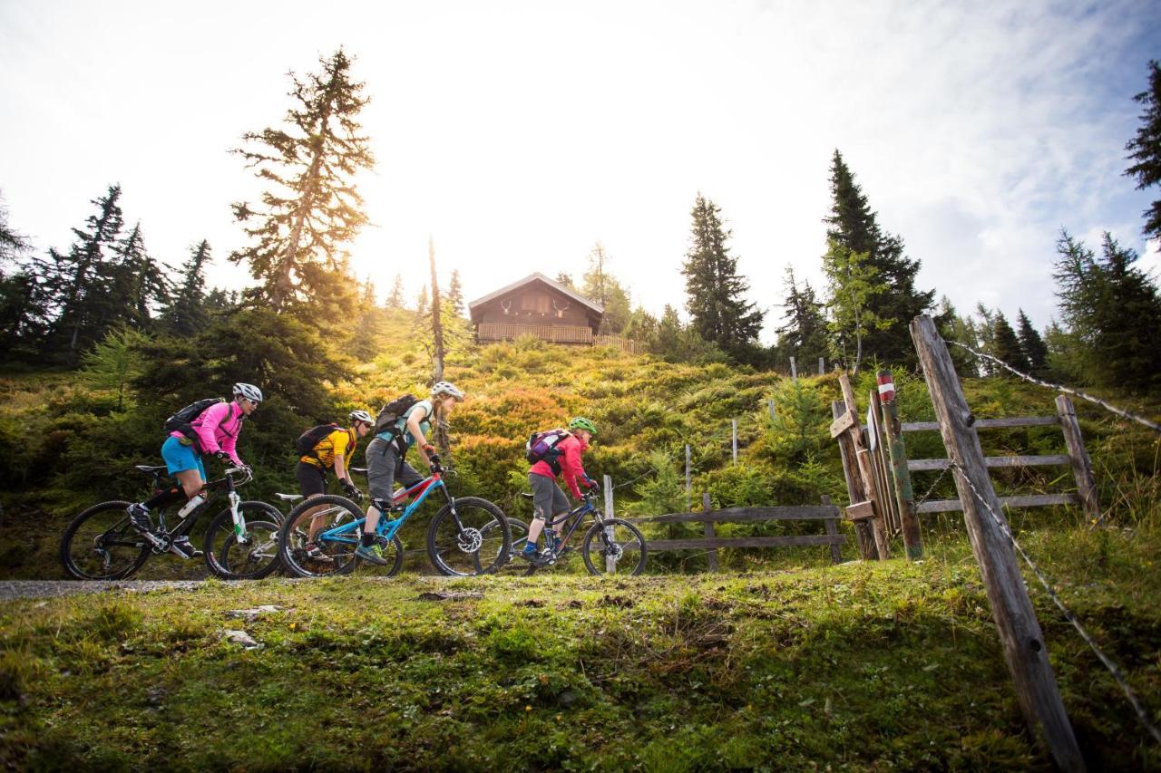 Natursinn Mountainchalets Flachau Zewnętrze zdjęcie