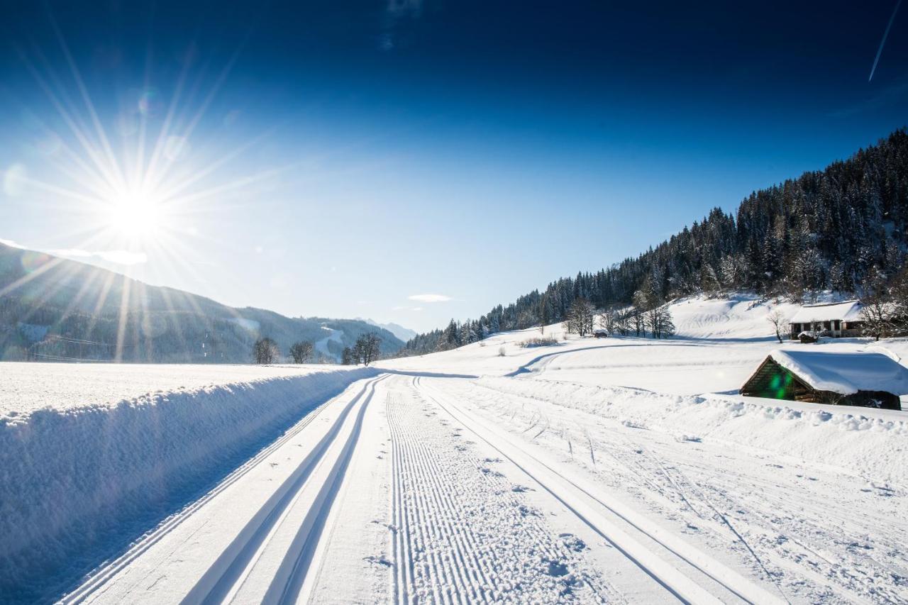 Natursinn Mountainchalets Flachau Zewnętrze zdjęcie