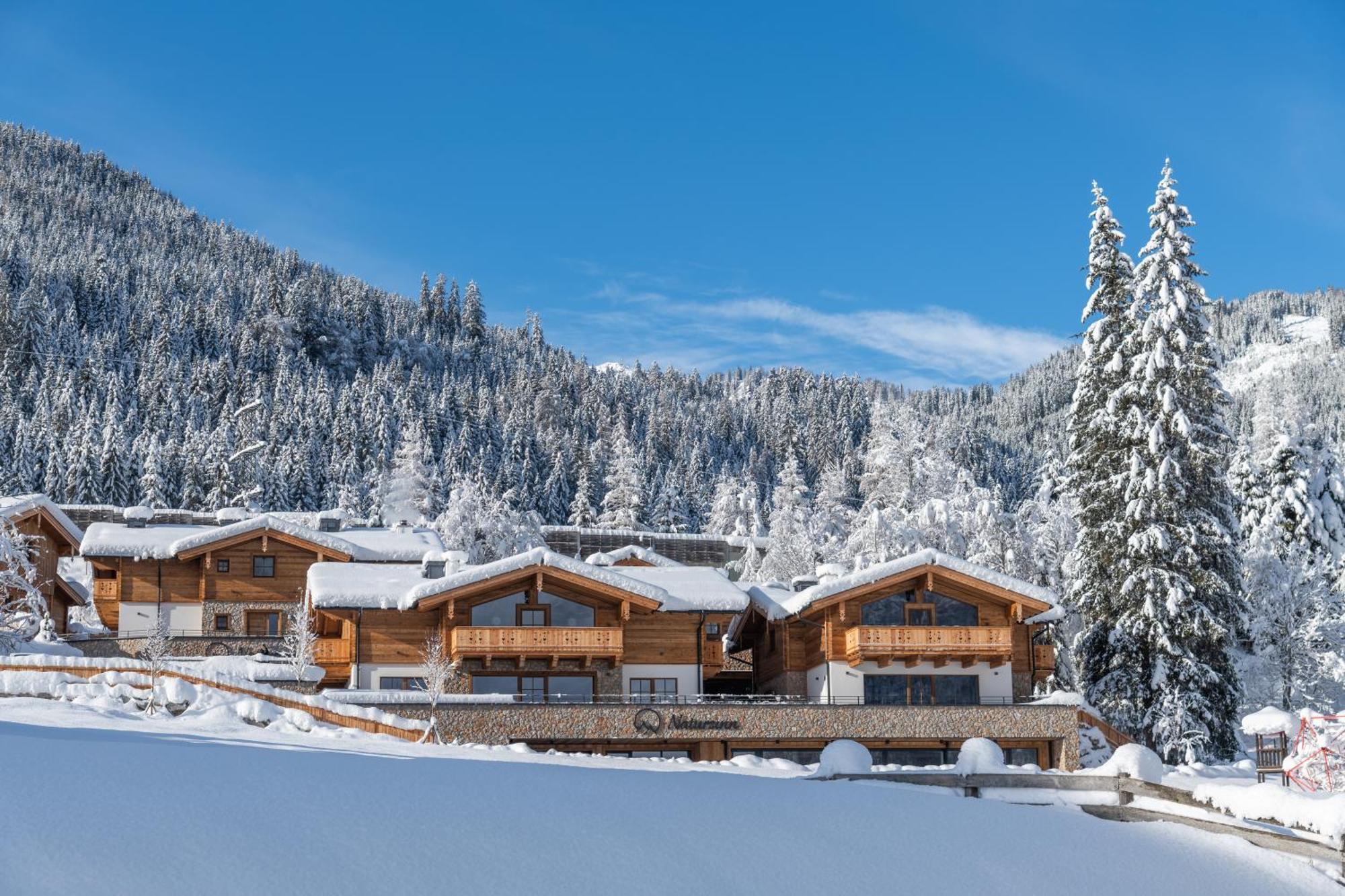 Natursinn Mountainchalets Flachau Zewnętrze zdjęcie